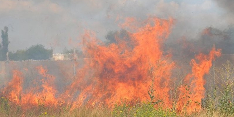 Николаевщина горит то тут, то там: 20 возгораний за сутки