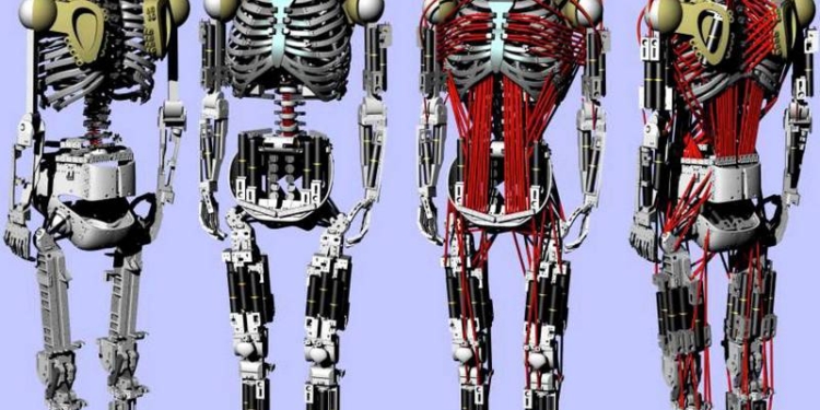Японские ученые создали искусственный скелет с мышцами