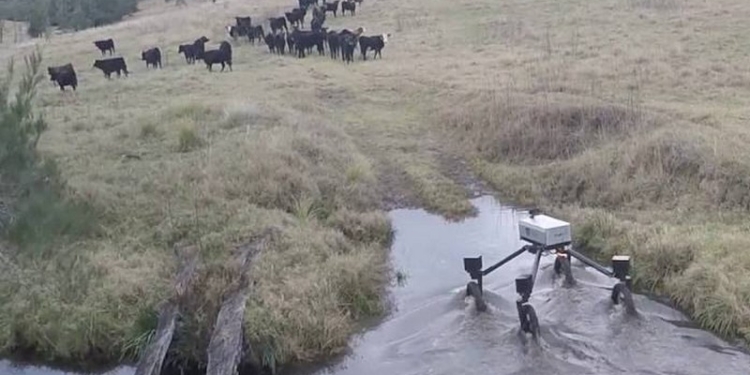 В Австралии показали за работой робота-ковбоя