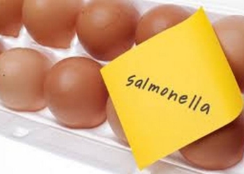 В Новобугском районе зарегистрирован 1 случай заболевания сальмонеллезом