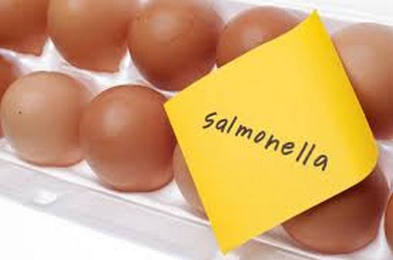 В Новобугском районе зарегистрирован 1 случай заболевания сальмонеллезом 1