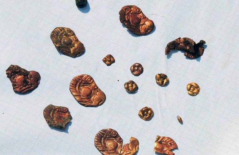 На раскопках в Полтавской области нашли "золото скифов" 1