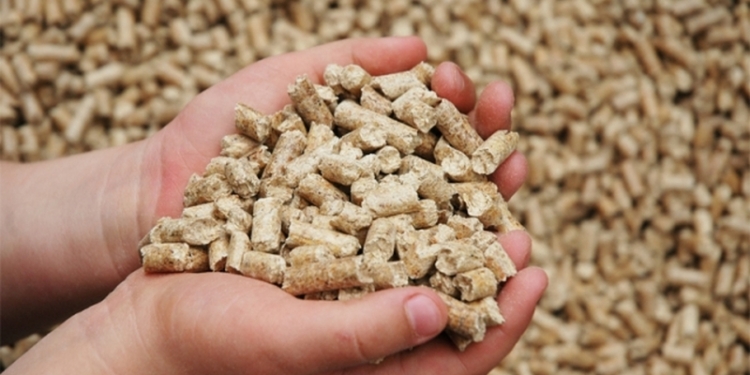 На себе не унесешь: на Николаевщине из вагонов «спионерили» 38 тонн соевого шрота