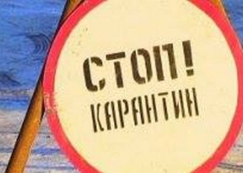 На территории Новой Одессы введен карантин: возможно ограничение движения транспорта, появятся 4 ветеринарно-полицейских поста