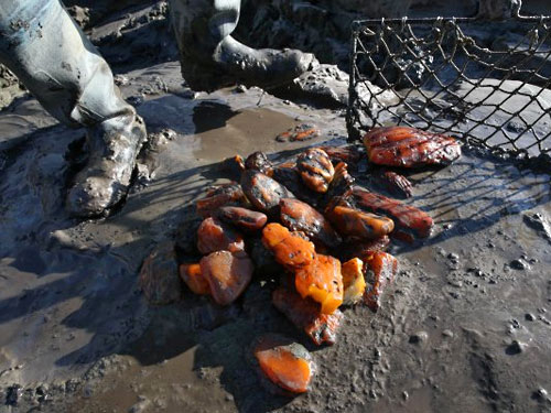 Суд арестовал всех 5 задержанных по “янтарному” делу