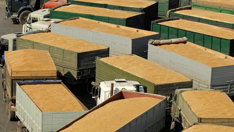 Китай призывает создать "зеленый коридор" для экспорта украинского зерна 3