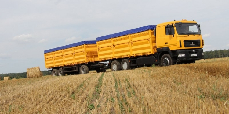 Соседи подают пример: Херсонский морпорт не принимает машины с перегрузом