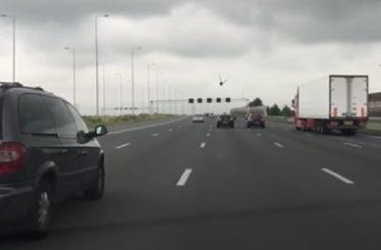 Наперегонки. Голубь и грузовик. Боевая ничья