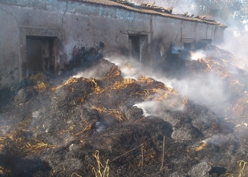 В Очаковском районе сгорел и 1 га сухой травы, и бывший жилой дом, где хранилось сено