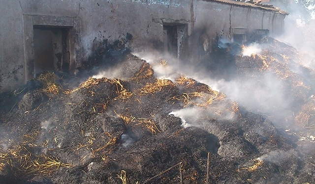 В Очаковском районе сгорел и 1 га сухой травы, и бывший жилой дом, где хранилось сено
