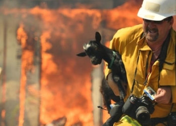 В Калифорнии из-за пожара эвакуируют 80 тысяч человек