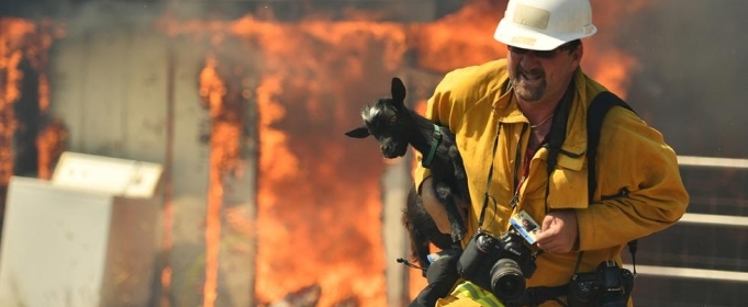 В Калифорнии из-за пожара эвакуируют 80 тысяч человек