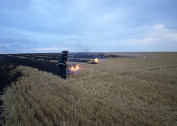 За минувшие сутки спасатели Николаевщины 16 раз тушили пожары в природных экосистемах