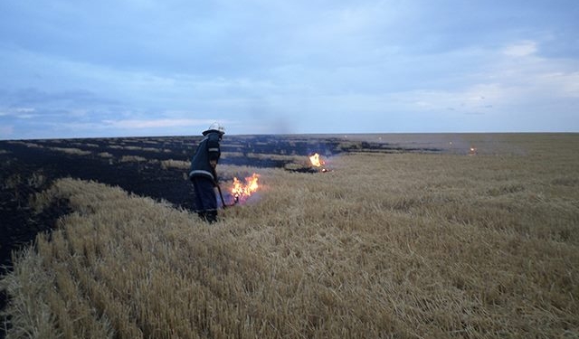 За минувшие сутки спасатели Николаевщины 16 раз тушили пожары в природных экосистемах