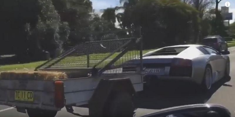 Бывает и такое: суперкар Lamborghini с прицепом козлят