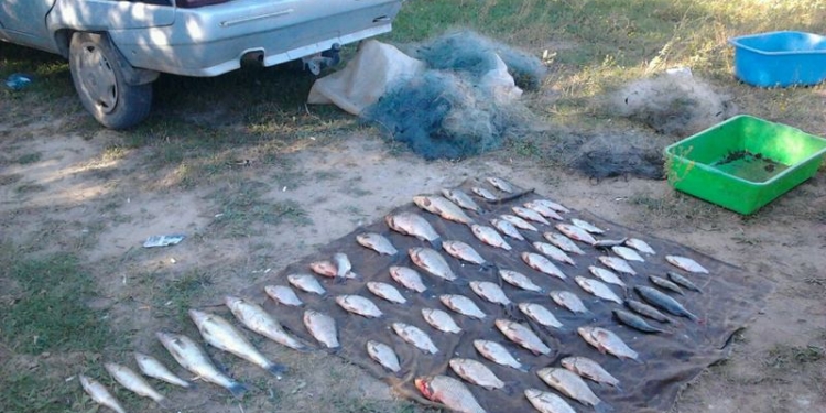 Был «человек и пароход», а на Николаевщине – «браконьер и депутат»: почти детектив на Александровском водохранилище с депутатом-матерщинником