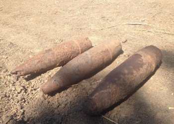 На Николаевщине обезврежено 3 артиллерийских снаряда времен прошлых войн, найденных агрономом