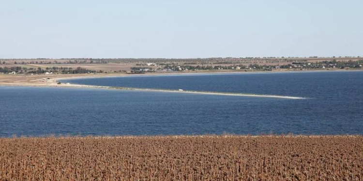 Соленость Тилигульского лимана продолжает расти
