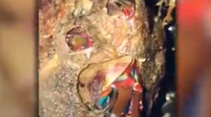 Жуткое морское чудовище или инопланетянин? Рыбаки выловили нечто, чему названия нет