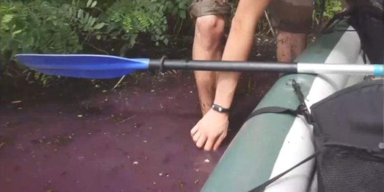 Красная, зеленая, фиолетовая. Киевлян пугает река-хамелеон