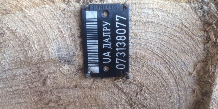 “Липа – это дуб, оформленный как сосна”. ГПУ провела обыски в лесхозах Львовщины и других областей