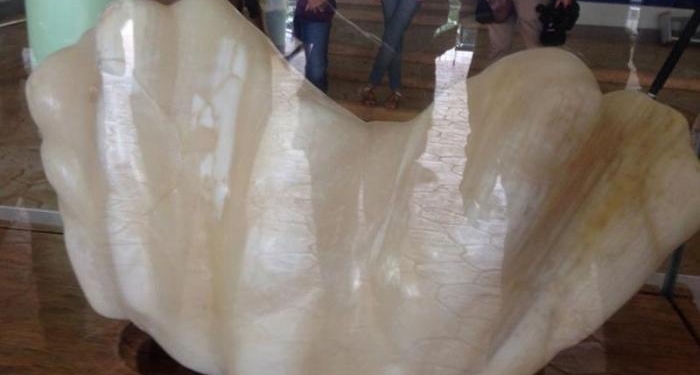 Жемчужина стоимостью 100 миллионов долларов десять лет пролежала под кроватью рыбака