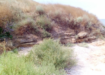 На Березани нашли 3 артснаряда Второй Мировой