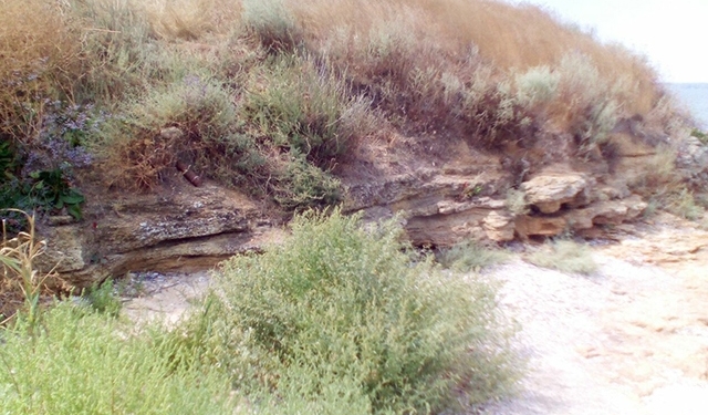 На Березани нашли 3 артснаряда Второй Мировой