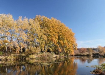 «Принади Південного Бугу»: фотохудожник Александр Ус из Николаева анонсировал новый авторский проект