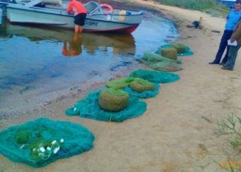 У Очакова предприниматель наловил 112 кг креветки – ущерб рыбному хозяйству Украины составил почти 111 тыс.грн.