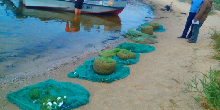 У Очакова предприниматель наловил 112 кг креветки – ущерб рыбному хозяйству Украины составил почти 111 тыс.грн.