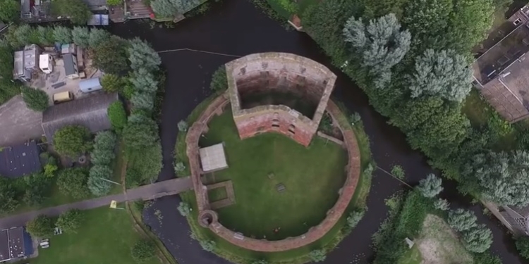 Живой истребитель. Гусь напал на беспилотник в Нидерландах