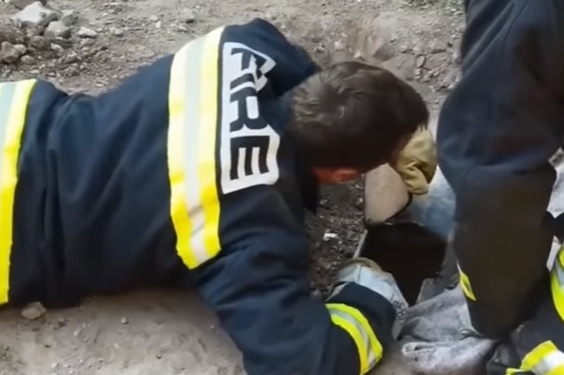 Спасатели в США смогли спасти собаку, застрявшую в узкой подземной трубе