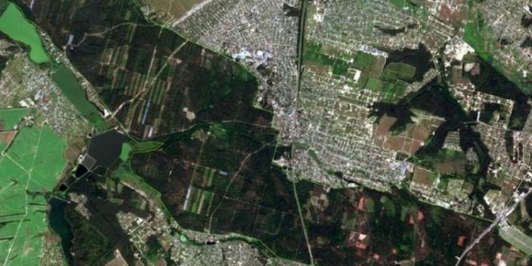 Дроны будут фиксировать незаконную вырубку леса в Украине