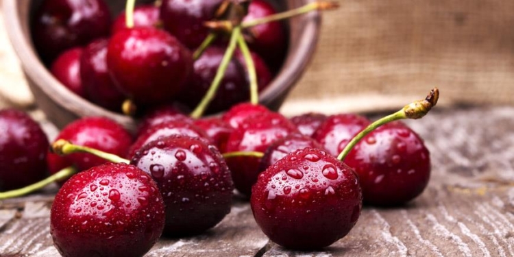 В Болгарии придумали ракетное топливо из черешни