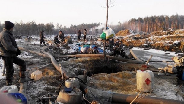Воруют попрежнему. Пограничники показали продолжение массового “дерибана” леса и янтаря
