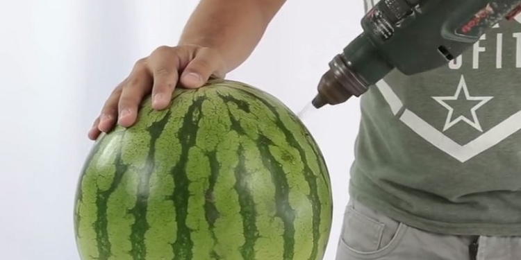 Если нечем занять себя на выходные. 10 оригинальных идей