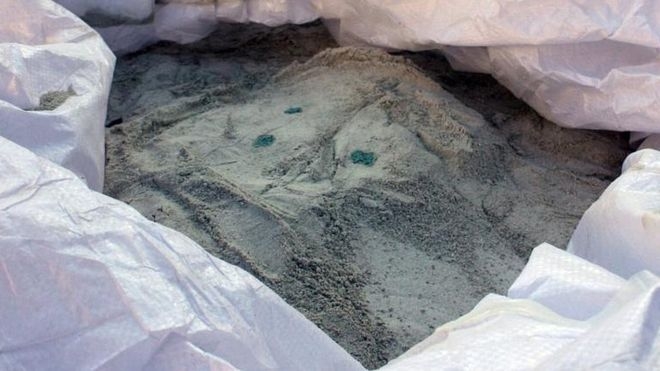 В Боливии перехватили 7 тонн кокаина – грузили для отправки в США