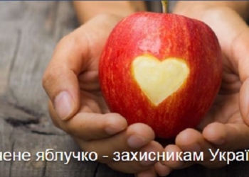 «Свячене яблучко – захисникам України»: в Кафедральном соборе на Садовой в Николаеве послезавтра будут собирать пожертвования бойцам