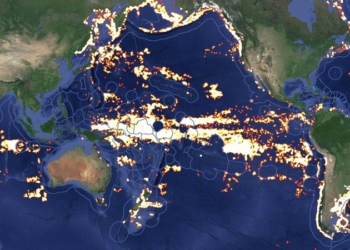 Google и Oceana запустят сервис обнаружения рыболовных судов