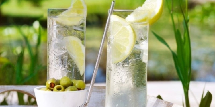 Открытая вакансия. В Великобритании ищут работника для дегустации джина в разных уголках планеты