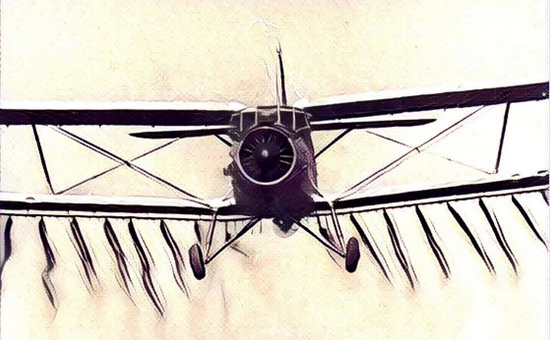 «Кукурузник» Ан-2 попал в Книгу Гиннеса как единственная авиамашина, выпускающаяся более 60 лет 1