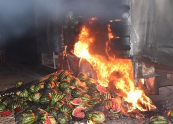 Херсонский губернатор тушил горящую на трассе фуру арбузами