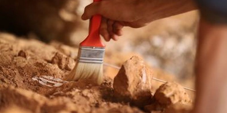 На Кипре нашли усыпальницу трехтысячелетней давности, полную сокровищ