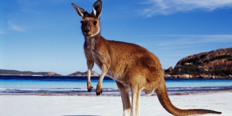 В Австралии местные синоптики объявили двухнедельную забастовку