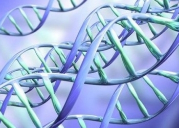 Новости от учёных: черты лиц преступников скоро будут вычислять по останкам ДНК