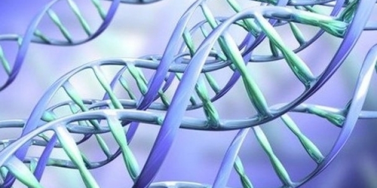 Новости от учёных: черты лиц преступников скоро будут вычислять по останкам ДНК