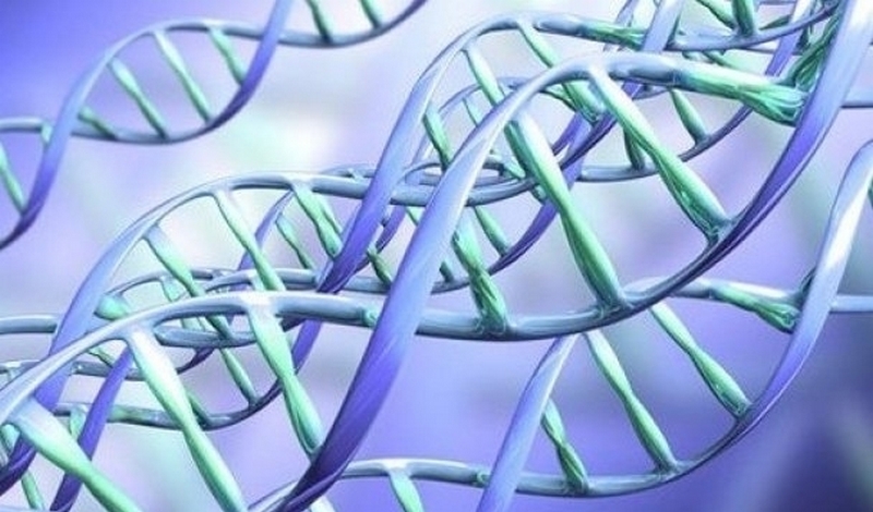 Новости от учёных: черты лиц преступников скоро будут вычислять по останкам ДНК 1