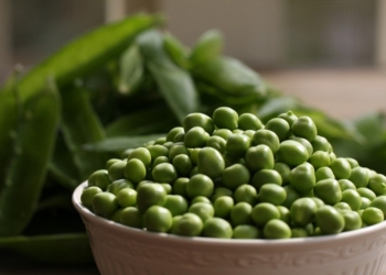 Украина в этом году получит рекордный урожай гороха – эксперты