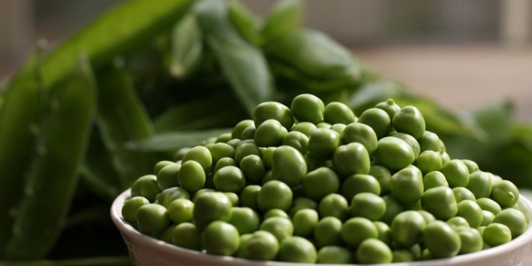 Украина в этом году получит рекордный урожай гороха – эксперты